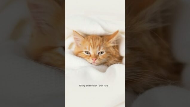 Sleepy Sunday 💤🤍