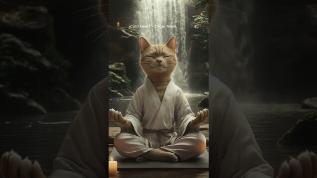 His Time 🧘‍♂️✨