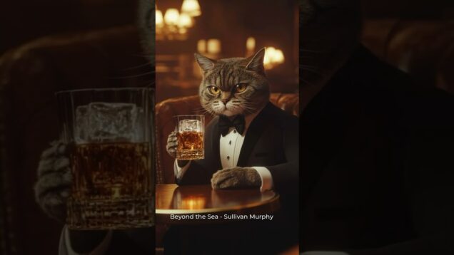Friday Mood Activated 🥃🐈