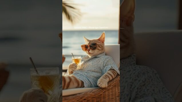 Mentally On Vacation 🍹🐈
