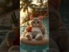 This cat reached peak happiness before us 😂🌴
