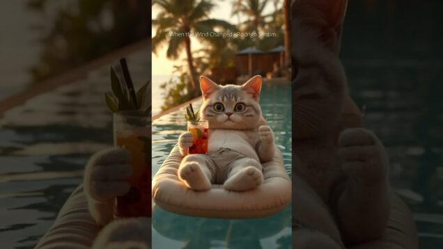 This cat reached peak happiness before us 😂🌴