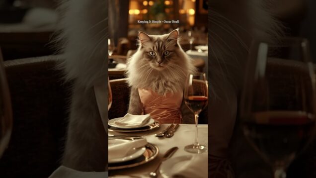 Thursday Lounge Queen 🥂🐱
